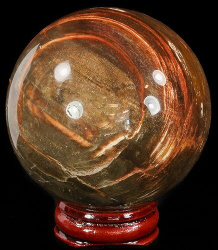 Colorful Petrified Wood Sphere #49745